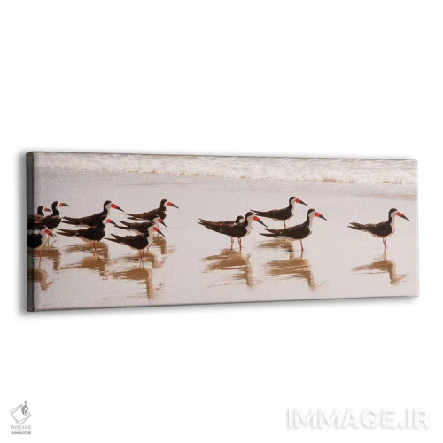 تابلو مرغ ماهیخوار سیاه ۱ اثر کتی منسفیلد - نمای پرسپکتیو محصول