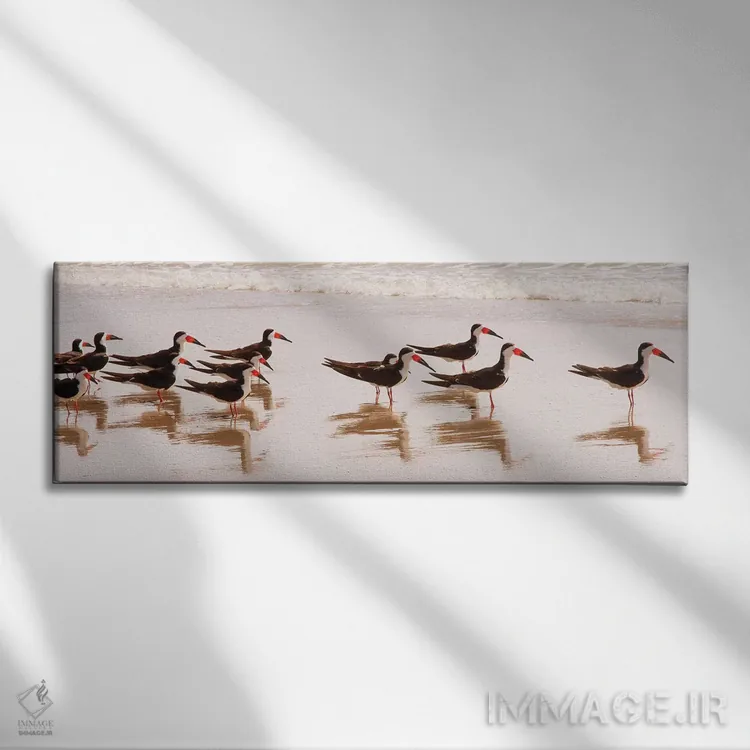 تابلو مرغ ماهیخوار سیاه ۱ اثر کتی منسفیلد - نمای روبهرو روی دیوار