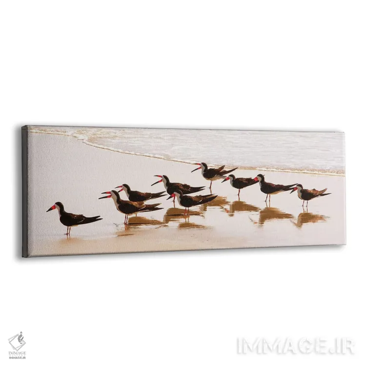 تابلو مرغ ماهیخوار سیاه ۲ اثر کتی منسفیلد - نمای پرسپکتیو محصول