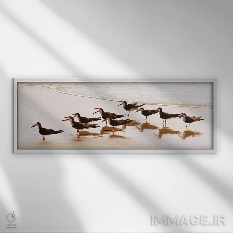 تابلو مرغ ماهیخوار سیاه ۲ اثر کتی منسفیلد - نمای قابدار سفید