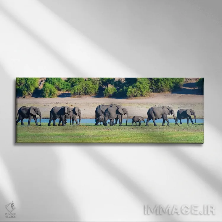 تابلو Chobe National Park, North-West District, Botswana,گله فیل، پارک ملی چوبه، ناحیه شمالغرب، بوتسوانا اثر کرن سو - نمای روبهرو روی دیوار