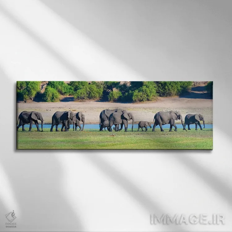 تابلو Chobe National Park, North-West District, Botswana,گله فیل، پارک ملی چوبه، ناحیه شمالغرب، بوتسوانا اثر کرن سو - نمای روبهرو روی دیوار