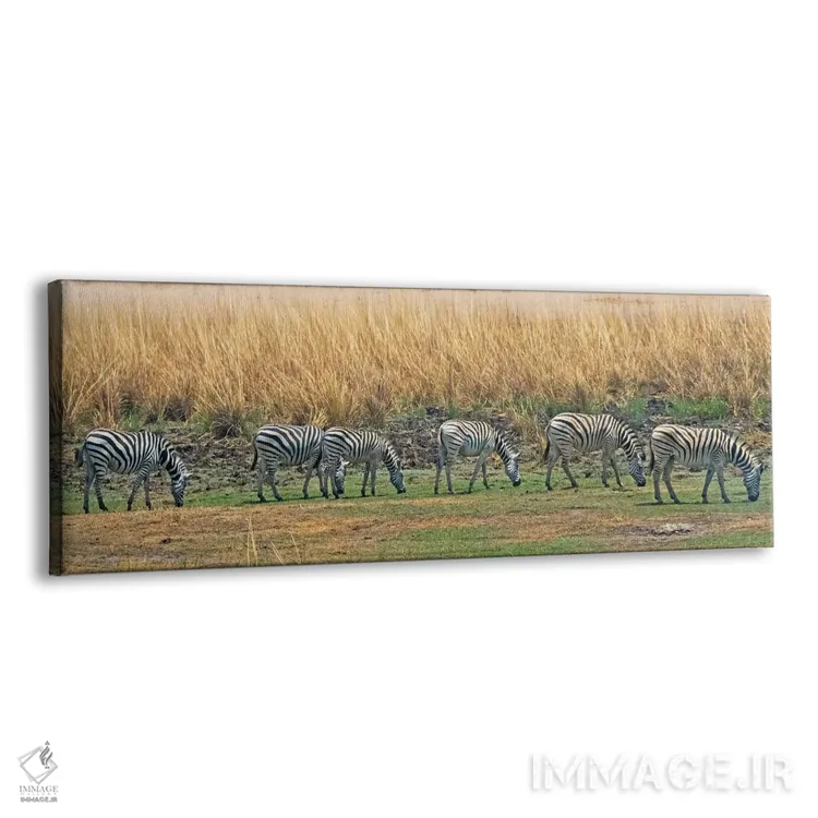 تابلو گورخرها، پارک ملی چوبه، منطقه شمال غربی، بوتسوانا اثر کرن سو - نمای پرسپکتیو محصول