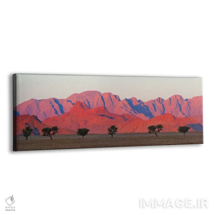 تابلو درخت با کوه در صحرای جنوبی نامیب، سسریم اثر کرن سو - نمای پرسپکتیو محصول