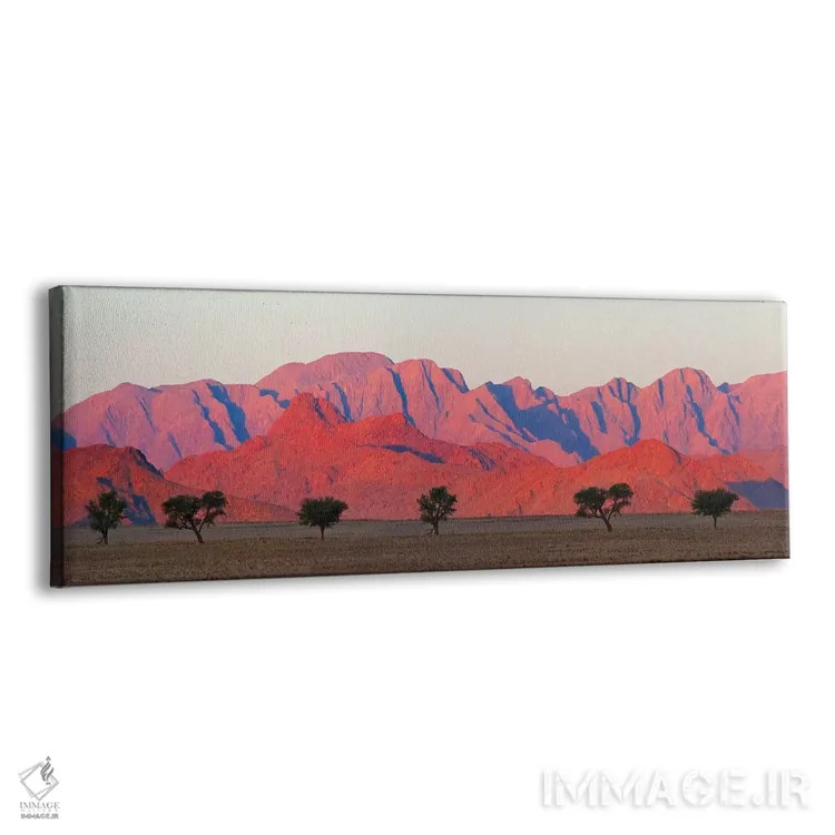 تابلو درخت با کوه در صحرای جنوبی نامیب، سسریم اثر کرن سو - نمای پرسپکتیو محصول