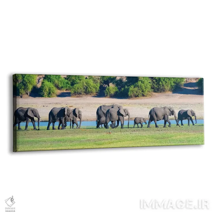 تابلو Chobe National Park, North-West District, Botswana,گله فیل، پارک ملی چوبه، ناحیه شمالغرب، بوتسوانا اثر کرن سو - نمای پرسپکتیو محصول