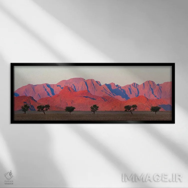 تابلو درخت با کوه در صحرای جنوبی نامیب، سسریم اثر کرن سو - نمای قابدار مشکی