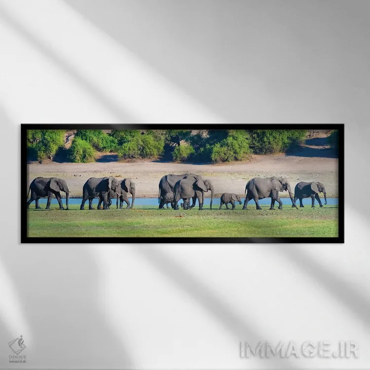 تابلو Chobe National Park, North-West District, Botswana,گله فیل، پارک ملی چوبه، ناحیه شمالغرب، بوتسوانا اثر کرن سو - نمای قابدار مشکی