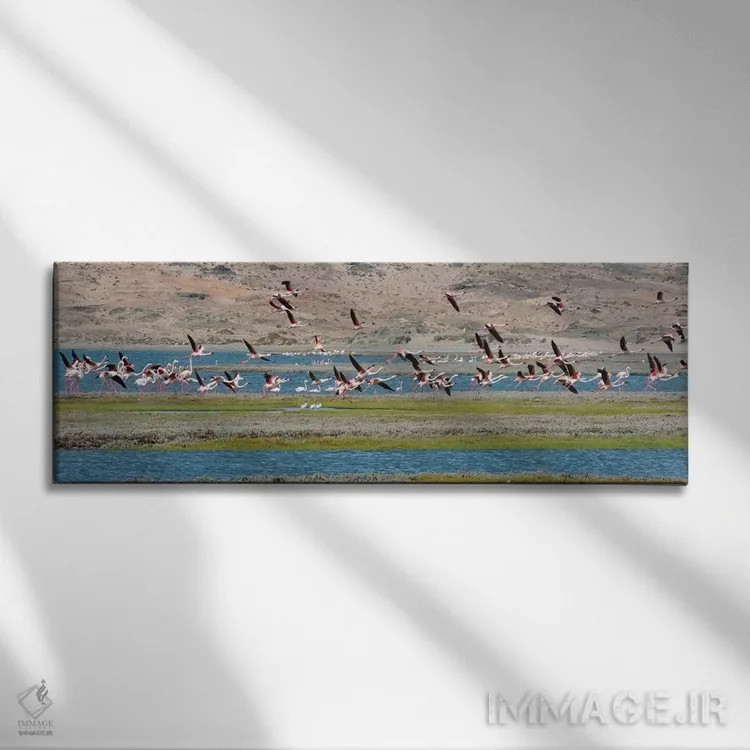 تابلو Luderitz Bay, Karas Region, Namibia,فلامینگوها، خلیج لودریتز، منطقه کاراس، نامیبیا اثر کرن سو - نمای روبهرو روی دیوار