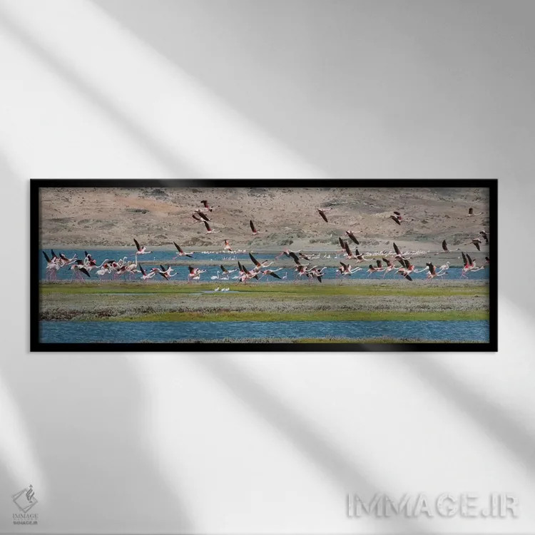 تابلو Luderitz Bay, Karas Region, Namibia,فلامینگوها، خلیج لودریتز، منطقه کاراس، نامیبیا اثر کرن سو - نمای قابدار مشکی