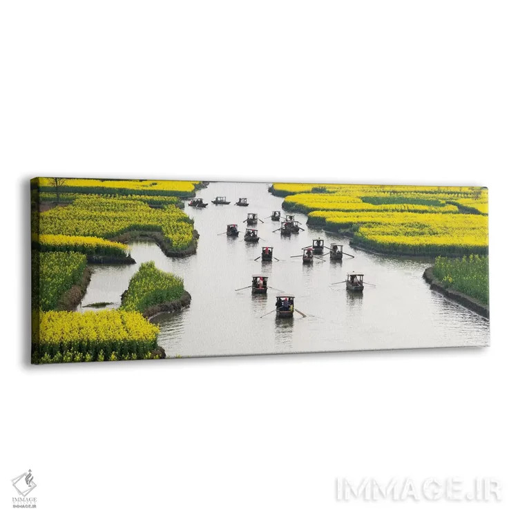 تابلو Xinghua, Jiangsu Province, China,قایق پارویی روی رودخانه میان مزارع گل کلزا هزار جزیره، شینگهوا، استان جیانگسو، چین اثر کرن سو - نمای پرسپکتیو محصول