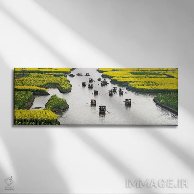 تابلو Xinghua, Jiangsu Province, China,قایق پارویی روی رودخانه میان مزارع گل کلزا هزار جزیره، شینگهوا، استان جیانگسو، چین اثر کرن سو - نمای روبهرو روی دیوار