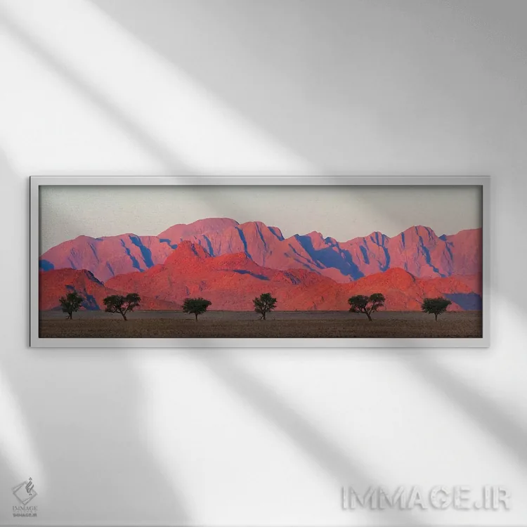 تابلو درخت با کوه در صحرای جنوبی نامیب، سسریم اثر کرن سو - نمای قابدار سفید