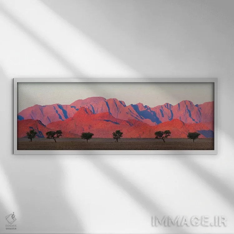 تابلو درخت با کوه در صحرای جنوبی نامیب، سسریم اثر کرن سو - نمای قابدار سفید