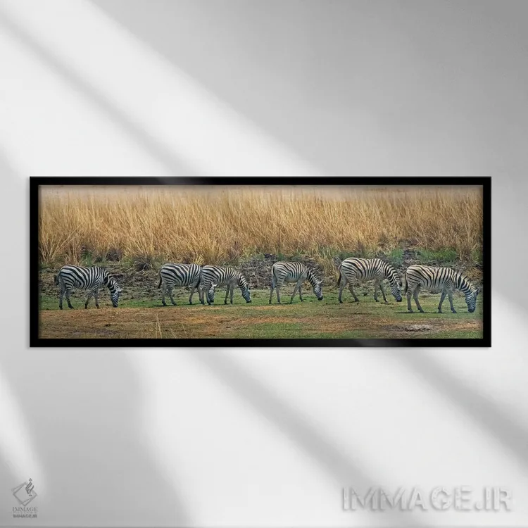 تابلو گورخرها، پارک ملی چوبه، منطقه شمال غربی، بوتسوانا اثر کرن سو - نمای قابدار مشکی