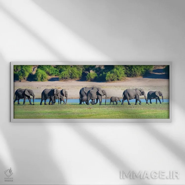 تابلو Chobe National Park, North-West District, Botswana,گله فیل، پارک ملی چوبه، ناحیه شمالغرب، بوتسوانا اثر کرن سو - نمای قابدار سفید