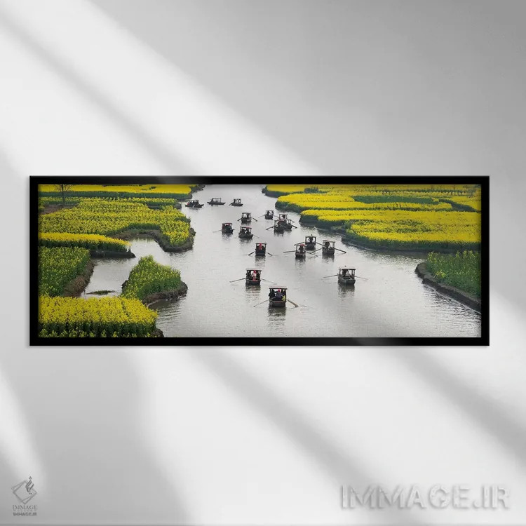 تابلو Xinghua, Jiangsu Province, China,قایق پارویی روی رودخانه میان مزارع گل کلزا هزار جزیره، شینگهوا، استان جیانگسو، چین اثر کرن سو - نمای قابدار مشکی