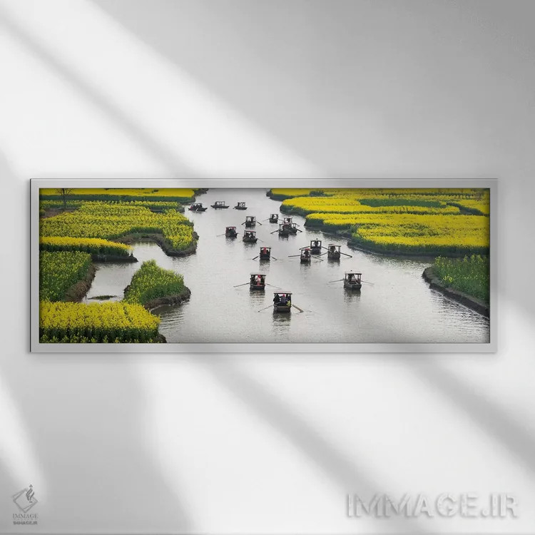 تابلو Xinghua, Jiangsu Province, China,قایق پارویی روی رودخانه میان مزارع گل کلزا هزار جزیره، شینگهوا، استان جیانگسو، چین اثر کرن سو - نمای قابدار سفید