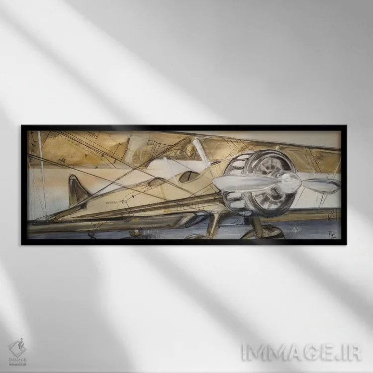 تابلو هواپیمای دوباله اثر کلسی هوchstatter - نمای قابدار مشکی
