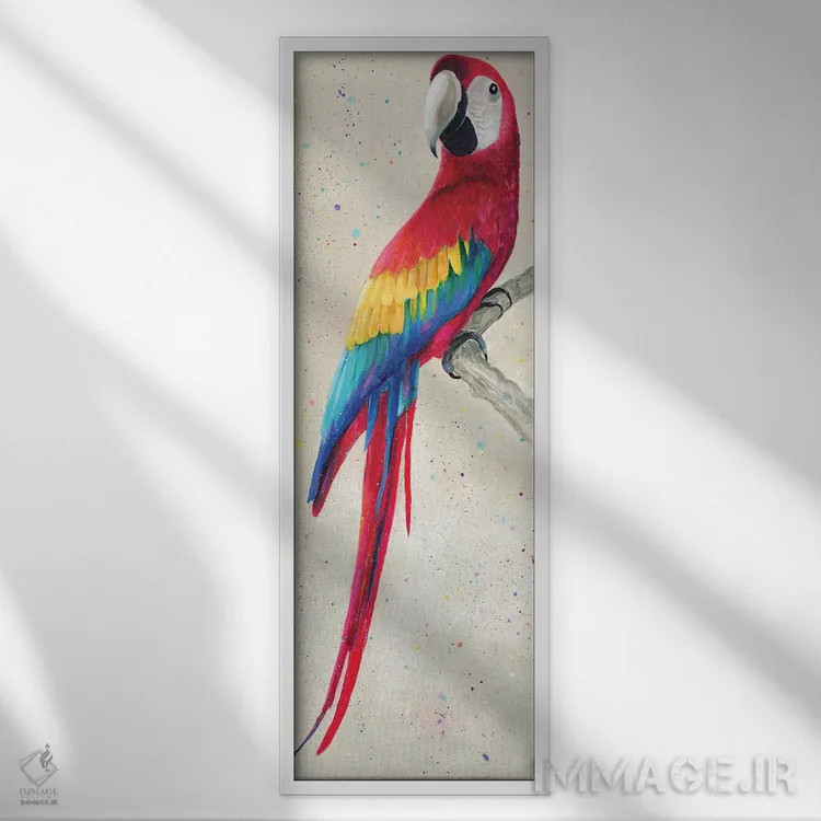 تابلو طوطی اثر کیم هاسکینز - نمای قابدار سفید