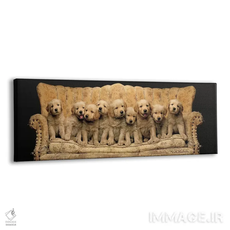 تابلو همه اعضای گروه اینجایند I اثر کیت کیمبرلین - نمای پرسپکتیو محصول