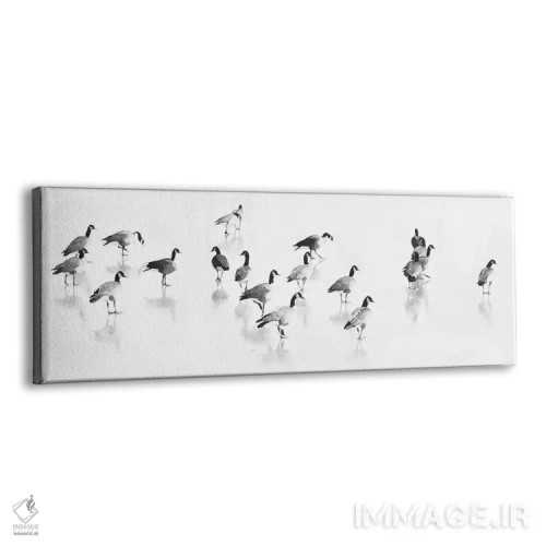 تابلو گله غازهای کانادایی اثر لو آن تیرل - نمای پرسپکتیو محصول