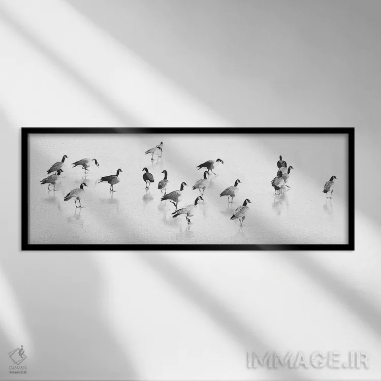 تابلو گله غازهای کانادایی اثر لو آن تیرل - نمای قابدار مشکی