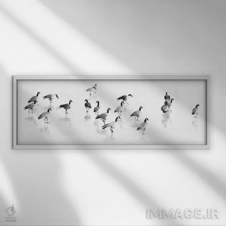 تابلو گله غازهای کانادایی اثر لو آن تیرل - نمای قابدار سفید