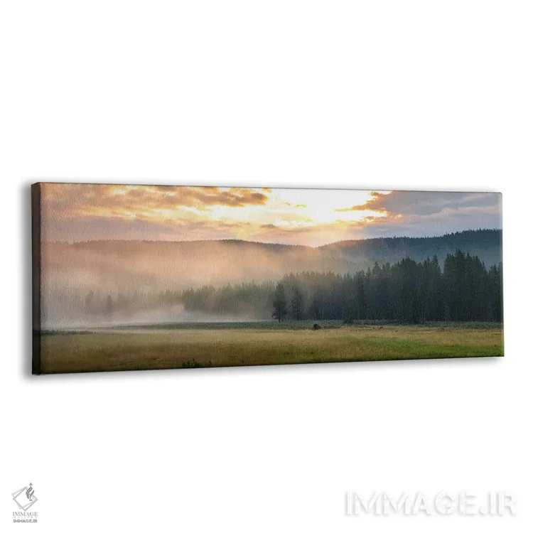 تابلو طلوع خورشید در چمنزار اثر لوکاس مور - نمای پرسپکتیو محصول