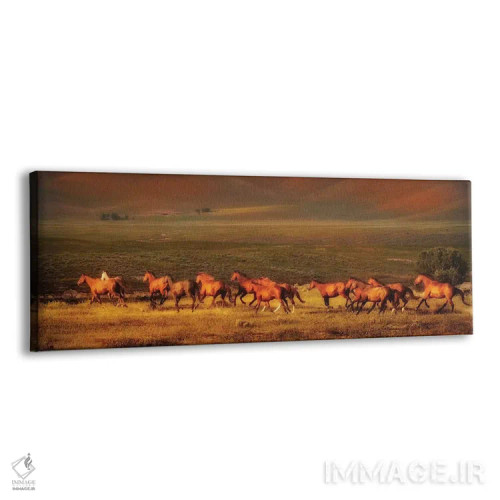 تابلو رویای مونتانا اثر لیزا دیرینگ - نمای پرسپکتیو محصول