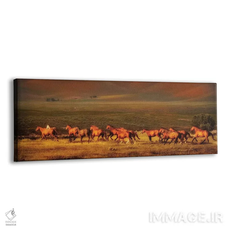 تابلو رویای مونتانا اثر لیزا دیرینگ - نمای پرسپکتیو محصول