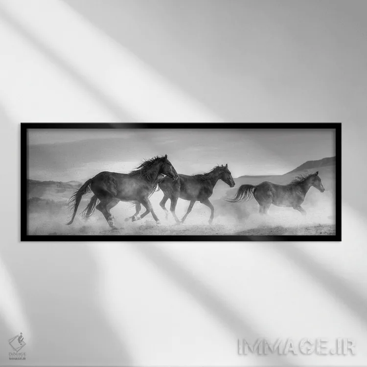 تابلو در گذر اثر سالی لیندن - نمای قابدار مشکی