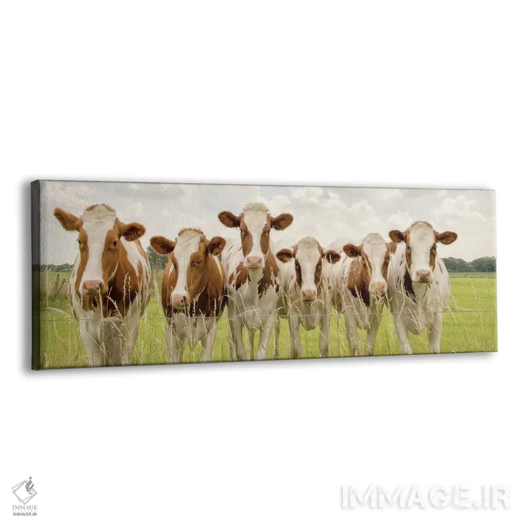 تابلو سوی F (احتمالاً اشاره خاص) اثر لارس فان ده خور - نمای پرسپکتیو محصول