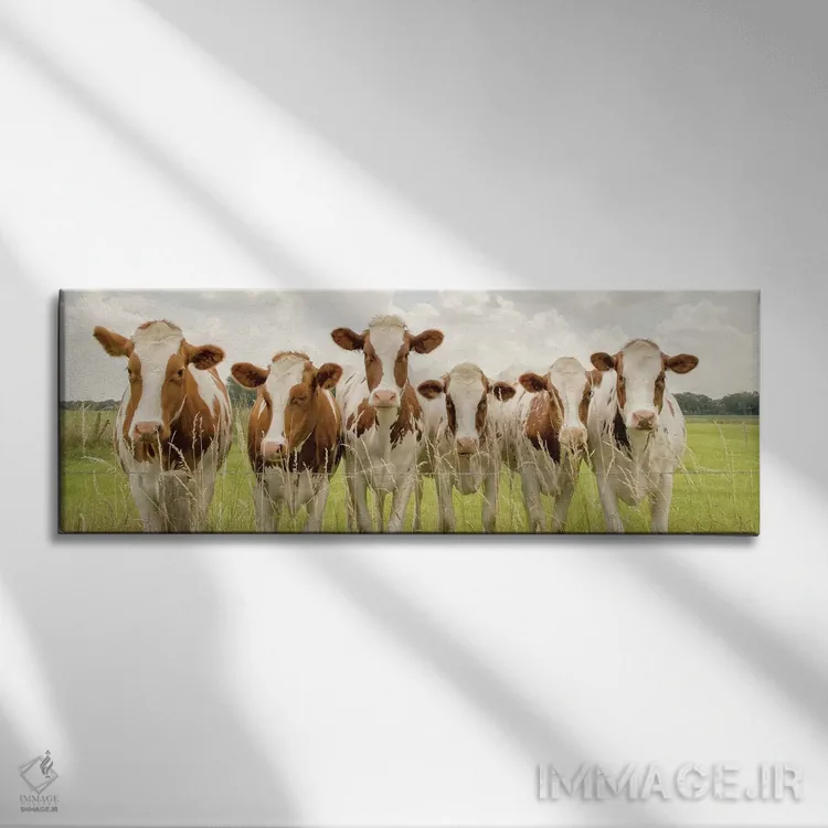 تابلو سوی F (احتمالاً اشاره خاص) اثر لارس فان ده خور - نمای روبهرو روی دیوار