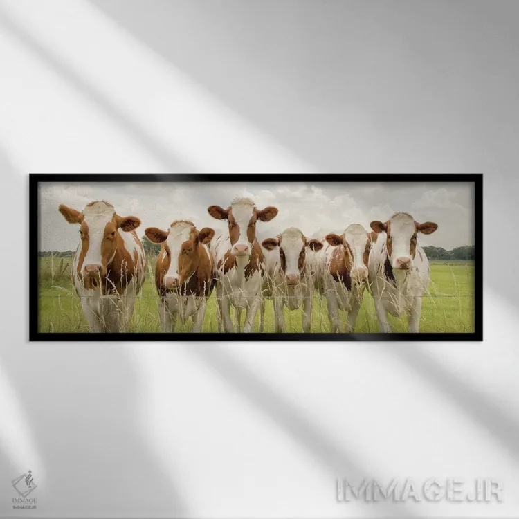 تابلو سوی F (احتمالاً اشاره خاص) اثر لارس فان ده خور - نمای قابدار مشکی