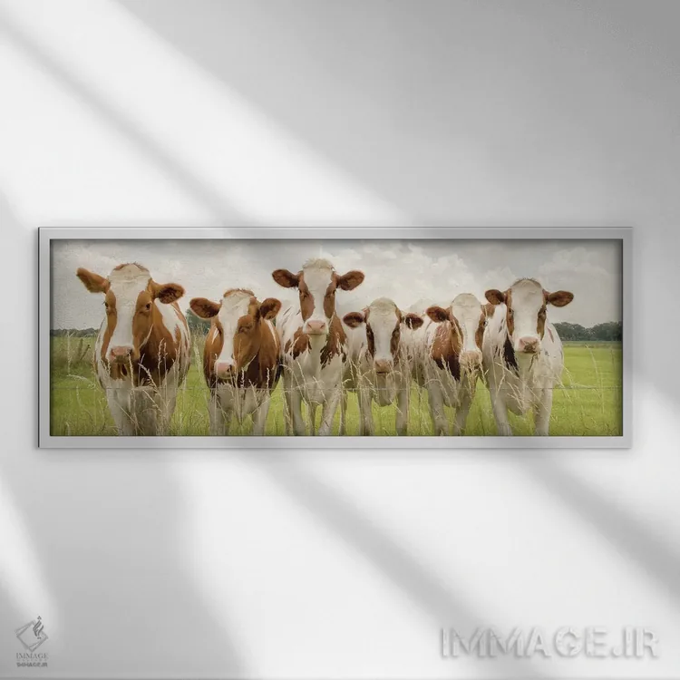 تابلو سوی F (احتمالاً اشاره خاص) اثر لارس فان ده خور - نمای قابدار سفید