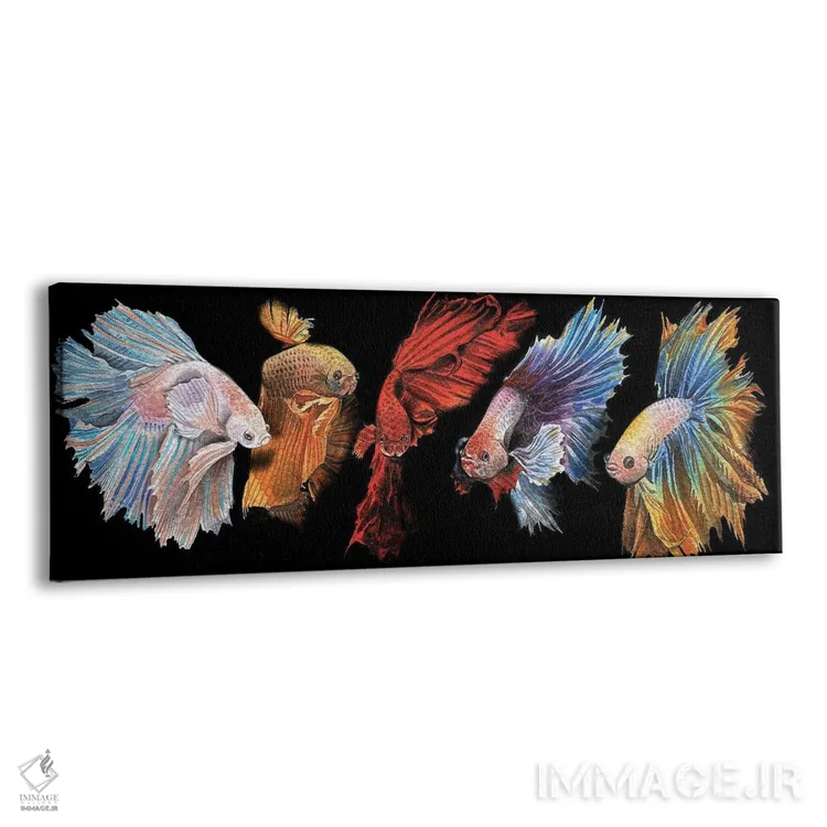 تابلو ماهی بتا در سیاهی اثر لیام کوموات - نمای پرسپکتیو محصول