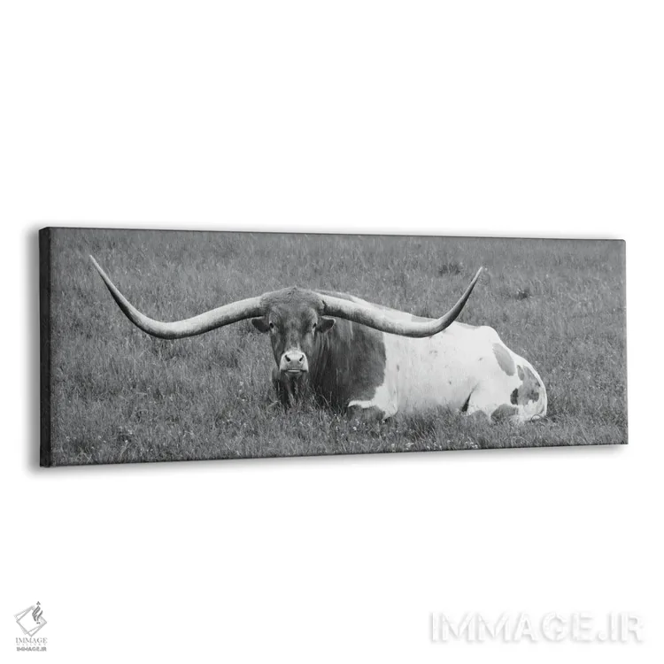 تابلو "بارگیری وسیع" اثر لری دیتِر - نمای پرسپکتیو محصول