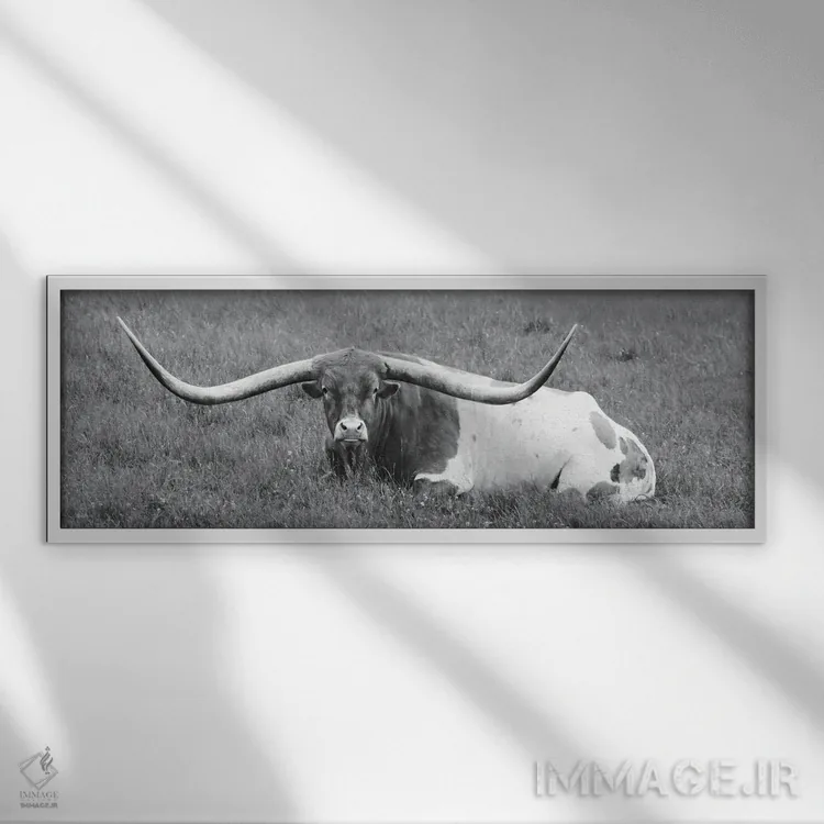 تابلو "بارگیری وسیع" اثر لری دیتِر - نمای قابدار سفید