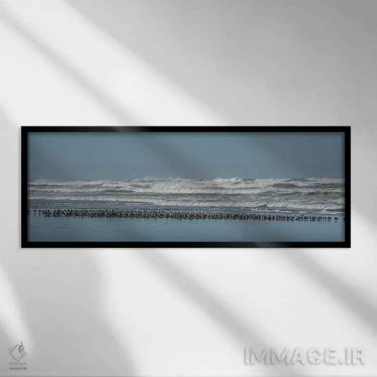 تابلو دسته پرندگان ماسهرو اثر لوئیس راث - نمای قابدار مشکی