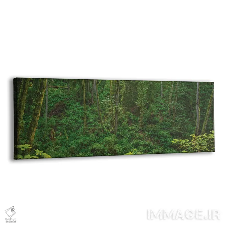 تابلو نور در دره سرخس اثر لوئیس راث - نمای پرسپکتیو محصول