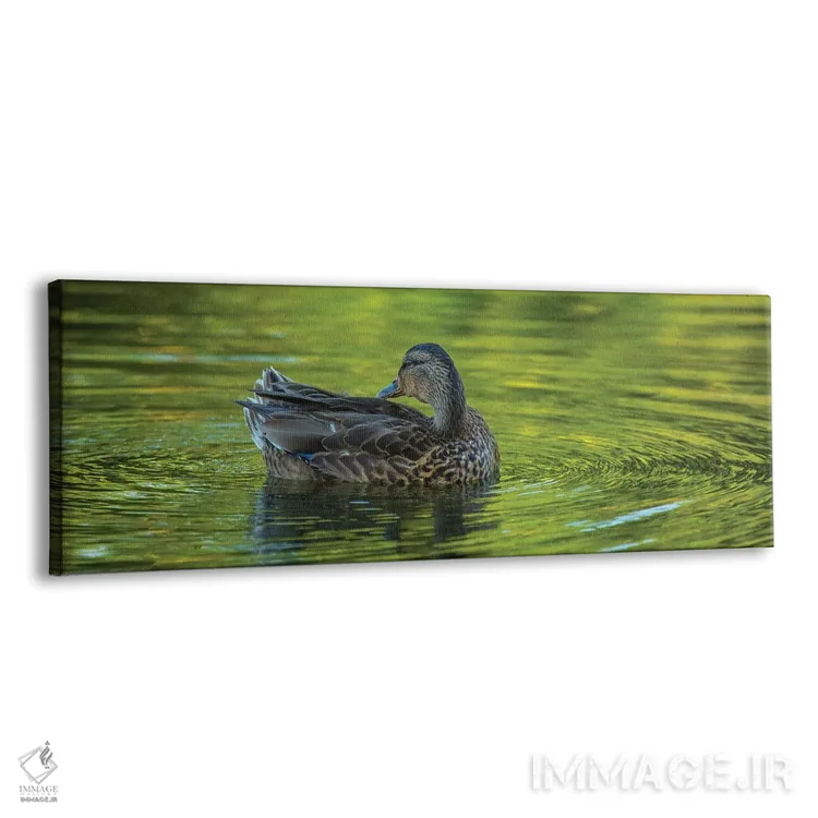 تابلو شکوه اردک اثر لوئیس راث - نمای پرسپکتیو محصول