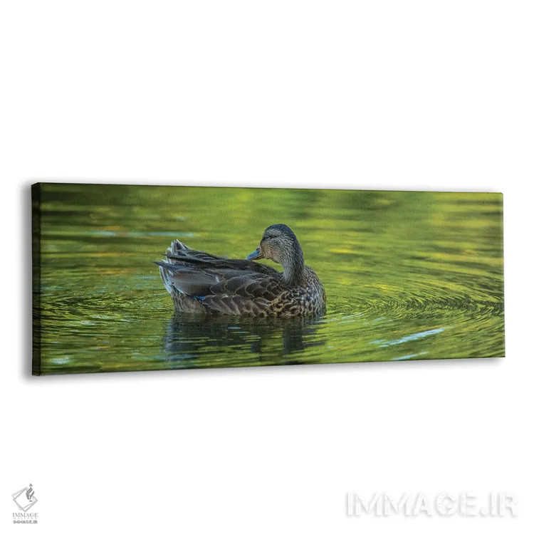 تابلو شکوه اردک اثر لوئیس راث - نمای پرسپکتیو محصول