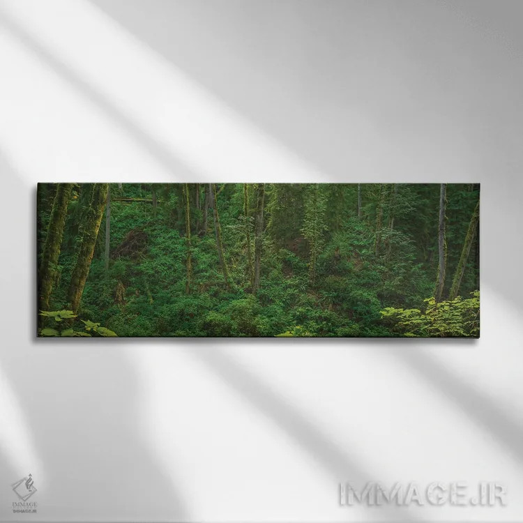 تابلو نور در دره سرخس اثر لوئیس راث - نمای روبهرو روی دیوار