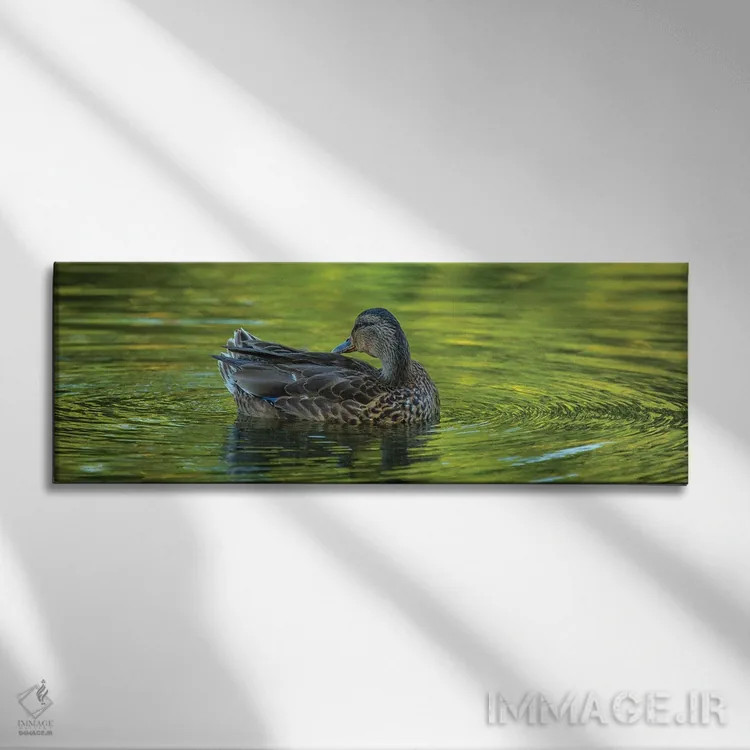 تابلو شکوه اردک اثر لوئیس راث - نمای روبهرو روی دیوار