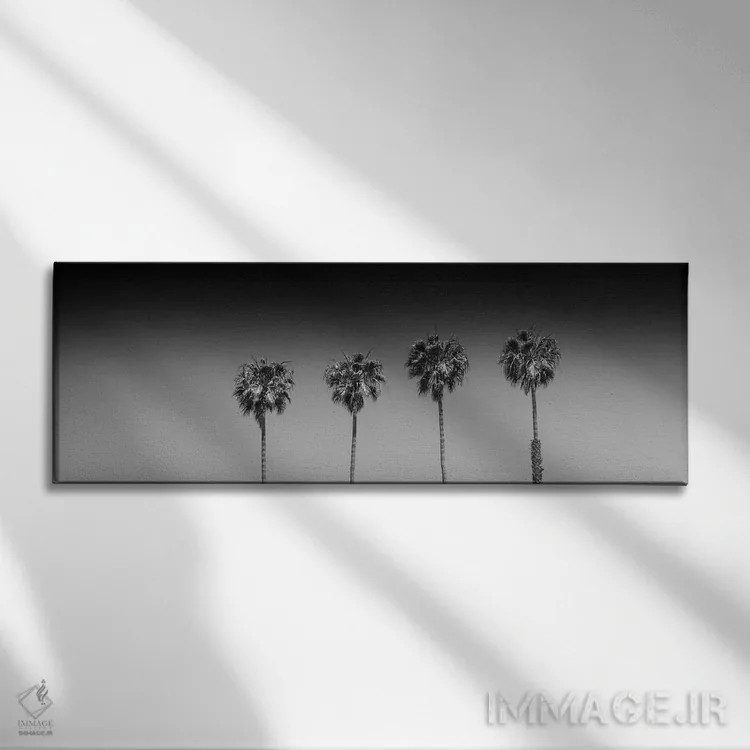 تابلو درختان نخل زیبا (سیاه و سفید) اثر ملانی ویولا - نمای روبهرو روی دیوار