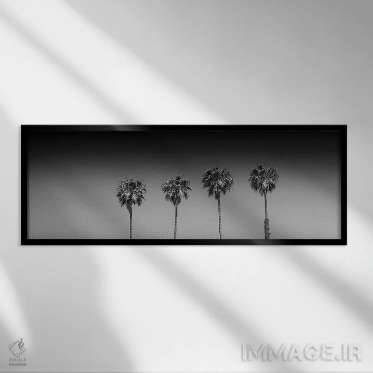 تابلو درختان نخل زیبا (سیاه و سفید) اثر ملانی ویولا - نمای قابدار مشکی