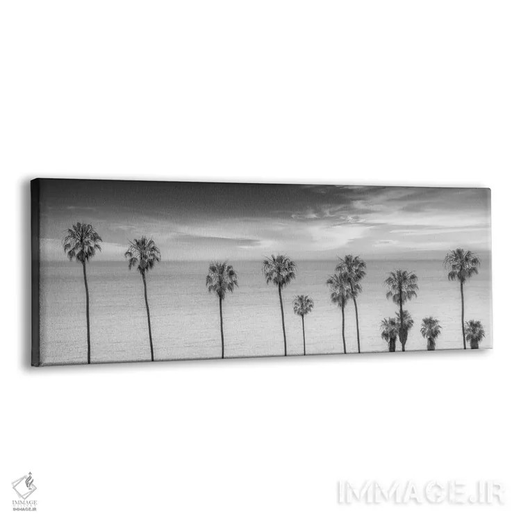 تابلو درختان نخل زیبا کنار اقیانوس (سیاه و سفید) اثر ملانی ویولا - نمای پرسپکتیو محصول