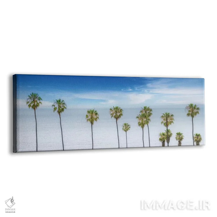 تابلو درختان نخل زیبا کنار اقیانوس اثر ملانی ویولا - نمای پرسپکتیو محصول