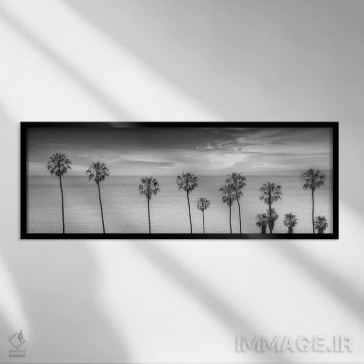 تابلو درختان نخل زیبا کنار اقیانوس (سیاه و سفید) اثر ملانی ویولا - نمای قابدار مشکی